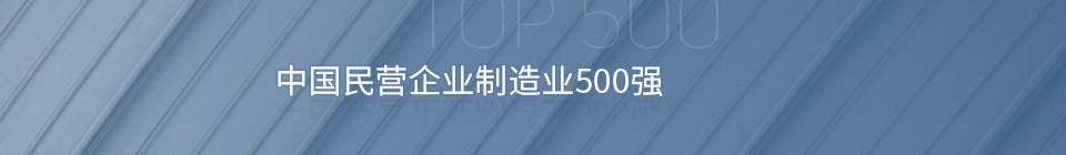 中國(guó)民營(yíng)企業(yè)制造業(yè)500強(qiáng)